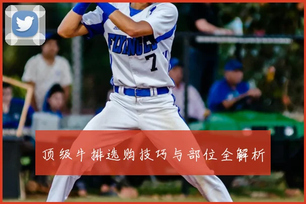 顶级牛排选购技巧与部位全解析