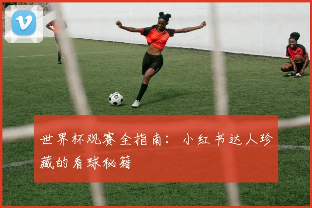 世界杯观赛全指南：小红书达人珍藏的看球秘籍