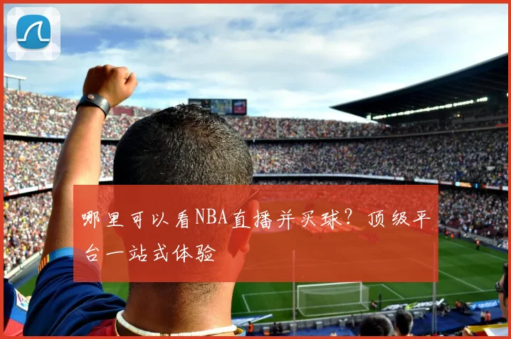 哪里可以看NBA直播并买球？顶级平台一站式体验
