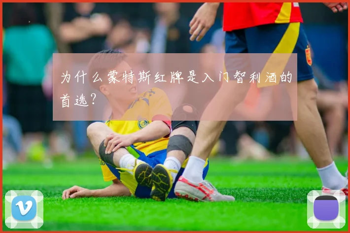 为什么蒙特斯红牌是入门智利酒的首选?