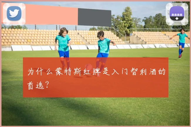 为什么蒙特斯红牌是入门智利酒的首选?